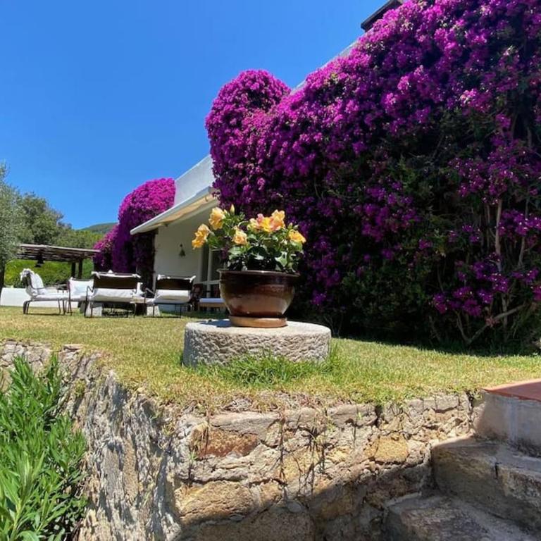 Villa Acquarilli - Villa - 73
