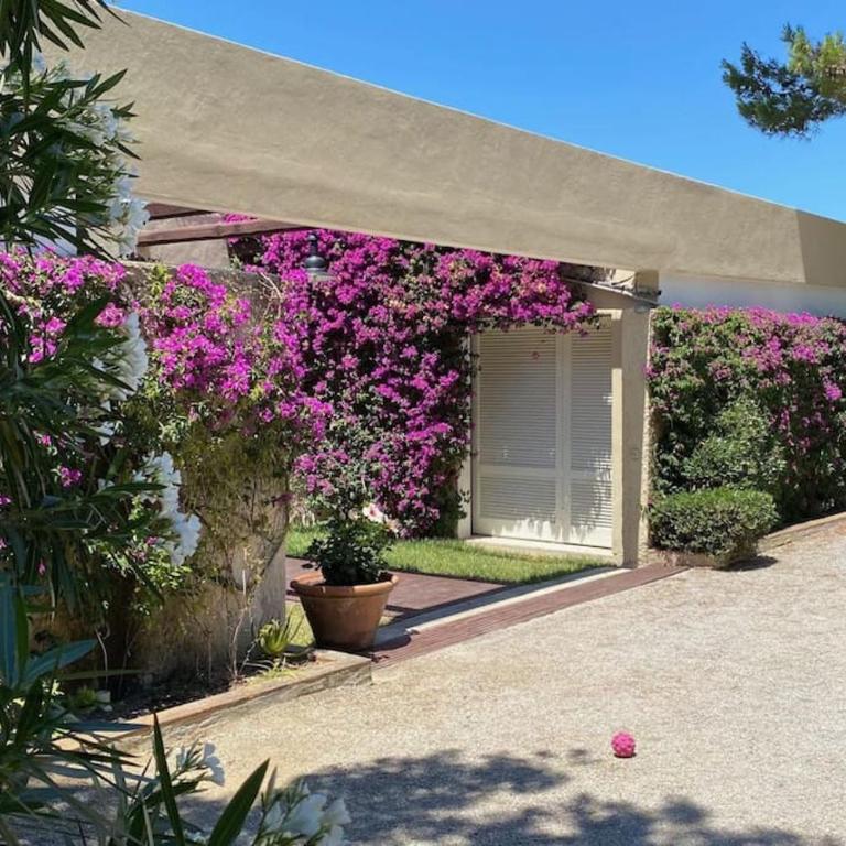 Villa Acquarilli - Villa - 82