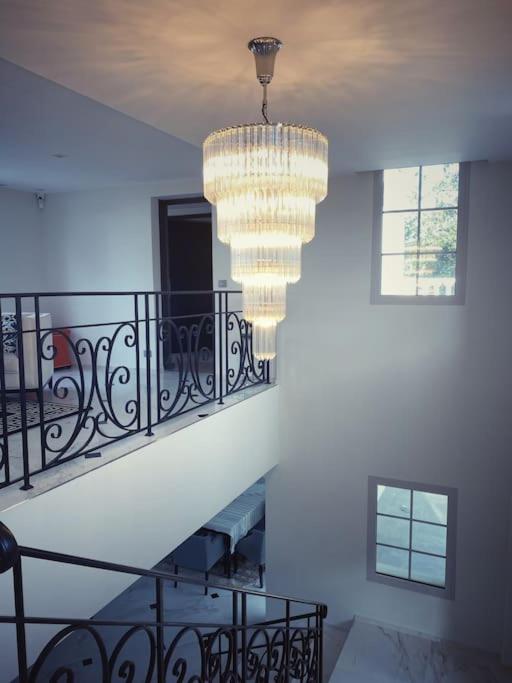 Villa Lion, gorgeous villa in Le Cannet overlooking Cannes - Villa - 16