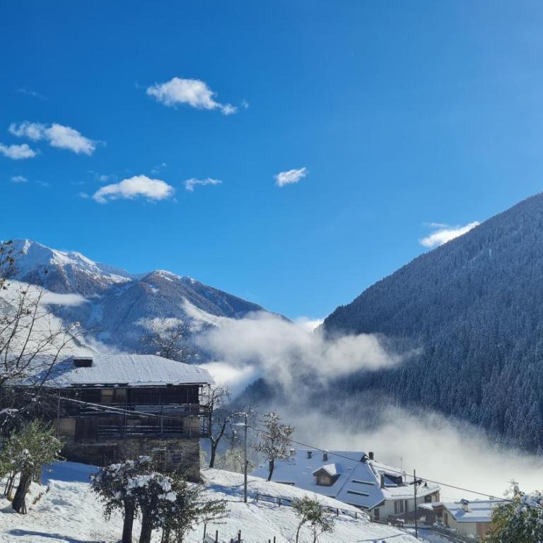 Mas del Mezdì - mountain chalet Val di Rabbi - Chalet 2 Chambres - 15