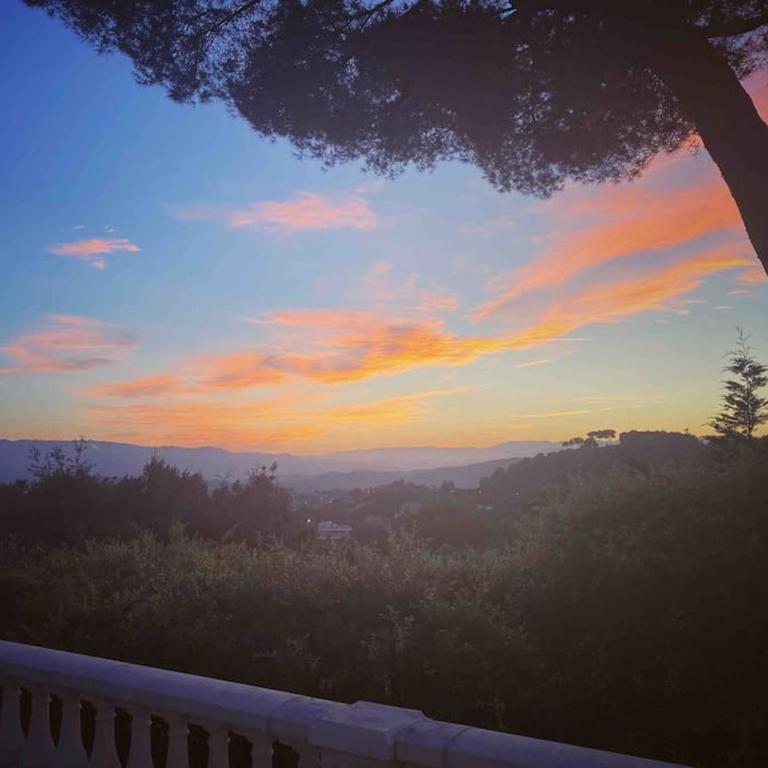 Villa Lion, gorgeous villa in Le Cannet overlooking Cannes - Villa - 33