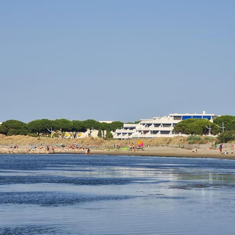 Le Flamand Rose à 300 de la plage - 400m du centre ville - Apartment - 17