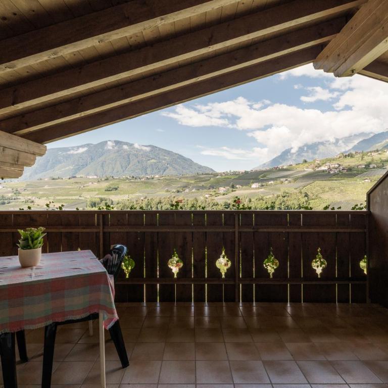 Petaunerhof - Appartamento con Terrazza - 1