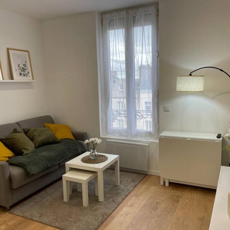 Appartement cosy hyper centre - Studio - 3