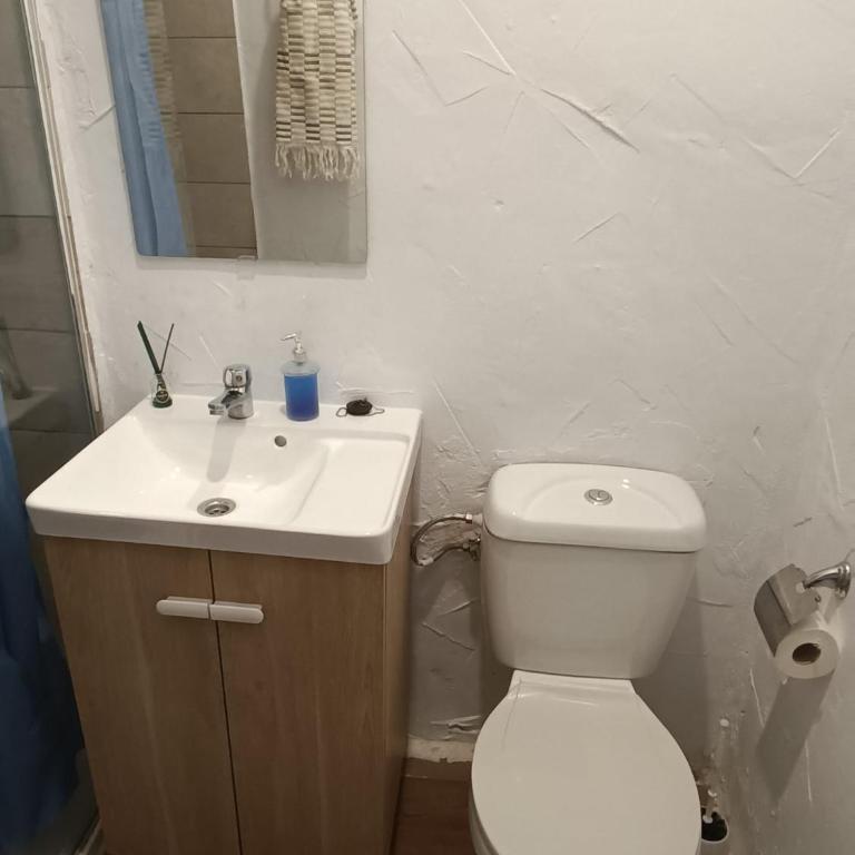 Apartamentos La Campana 1 - Apartamento de 1 dormitorio - 14