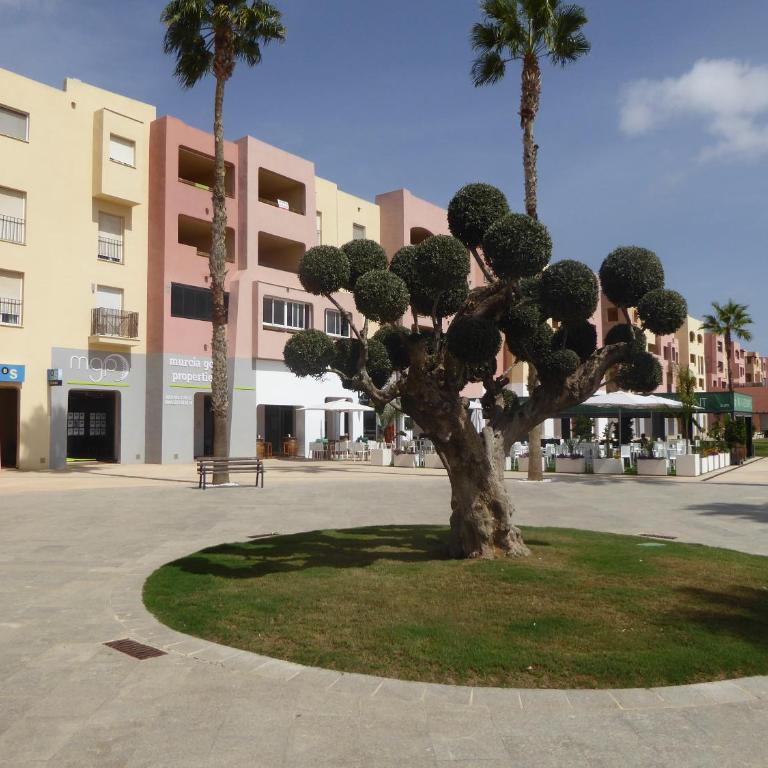 Mar Menor Golf 2 Free Pool, Padel tennis, Gym Yoga etc - Apartamento de 2 dormitorios - 4
