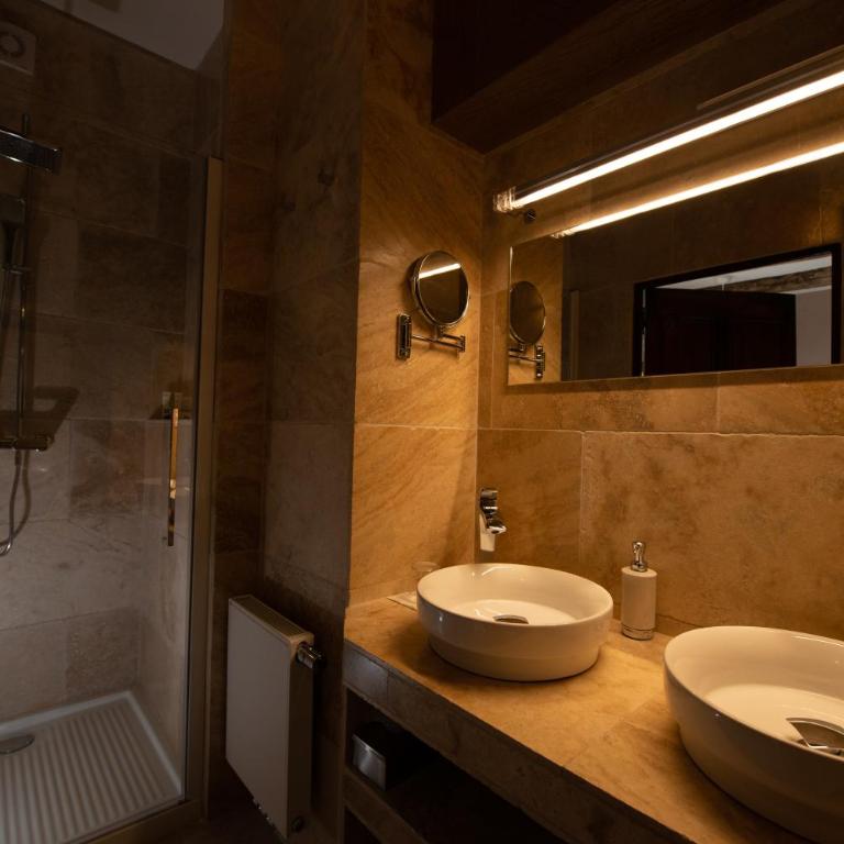 Hôtel et SPA des sources du gros noyer - Deluxe Doppel-/Zweibettzimmer mit Gartenblick - 4