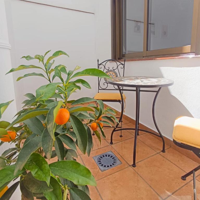 Casita El Lagar - Casa con 1 dormitorio - 16