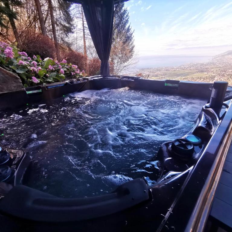 Elvira House Montreux, un lieu magique ! - Superior Chalet - 8