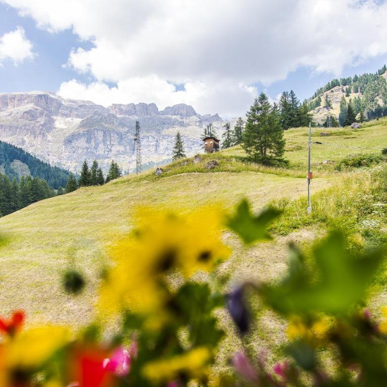 Chalet Pradat - Appartamento con 2 Camere da Letto - 14