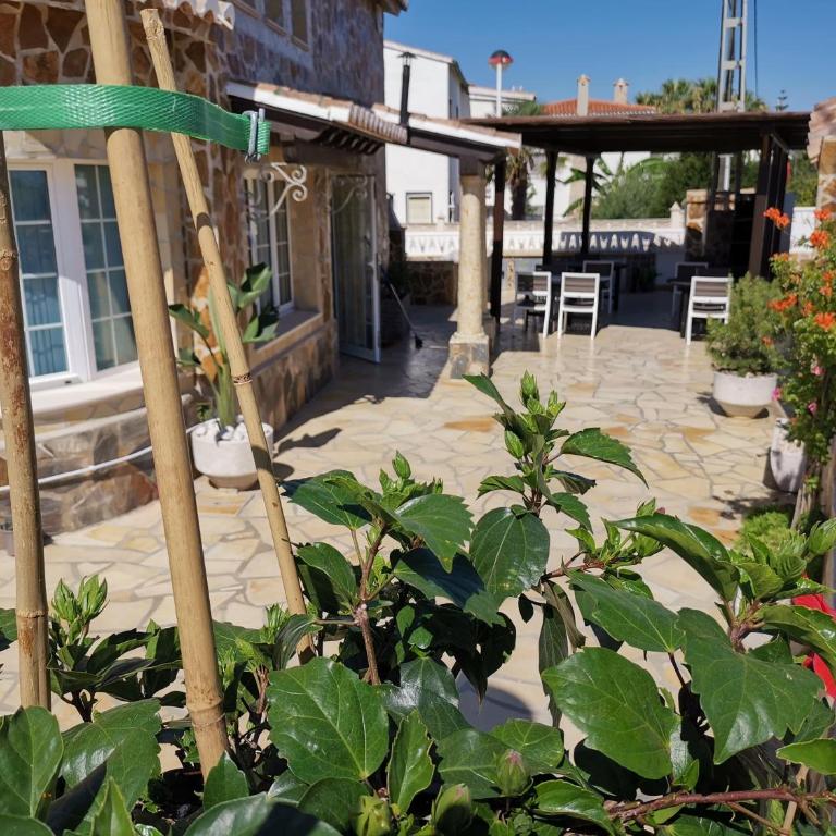 Apartamentos Thomas - Casa con 1 dormitorio - 14