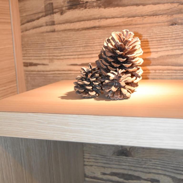 Chalet Pradat - Appartamento Monolocale - 17