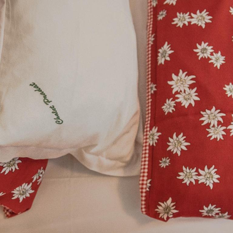 Chalet Pradat - Appartamento con 1 Camera da Letto - 10