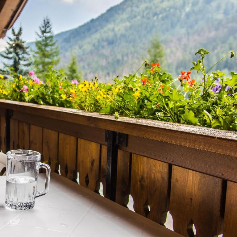 Chalet Pradat - Appartamento con 1 Camera da Letto - 12