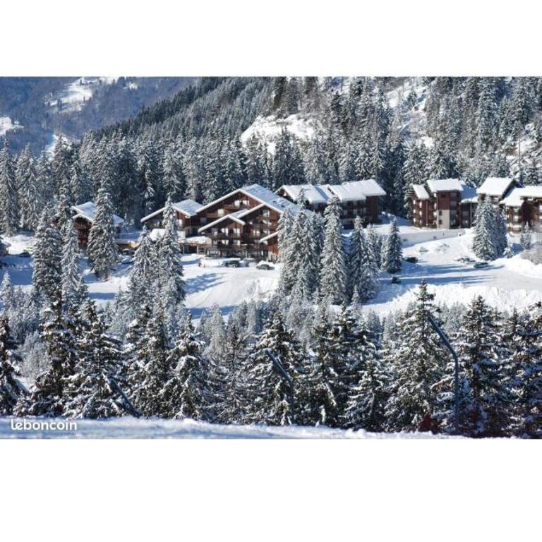 Studio au pied des pistes avec vue sur la montagne - Studio - 1