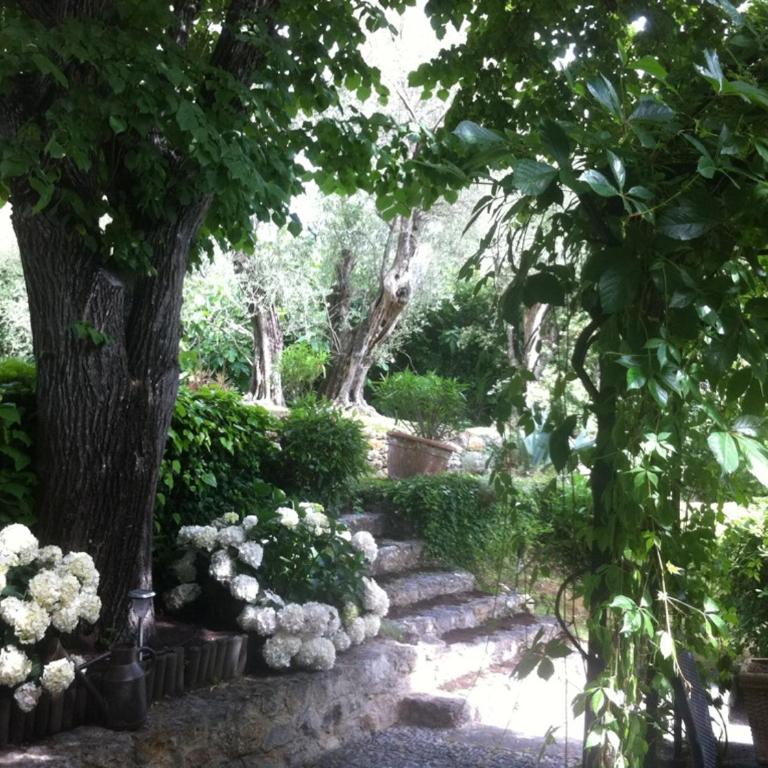 Le MAS des BANYONS - Villa - Vue sur Jardin - 8