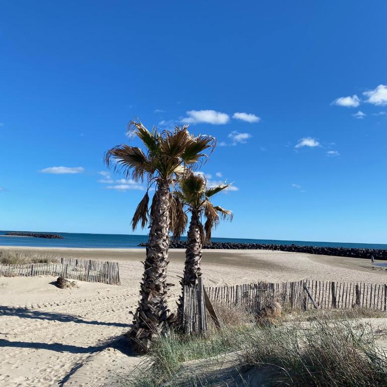 APPART - T3 - 6 PERSONNES – GOLF CAP D’AGDE - Appartement 2 Chambres - 51