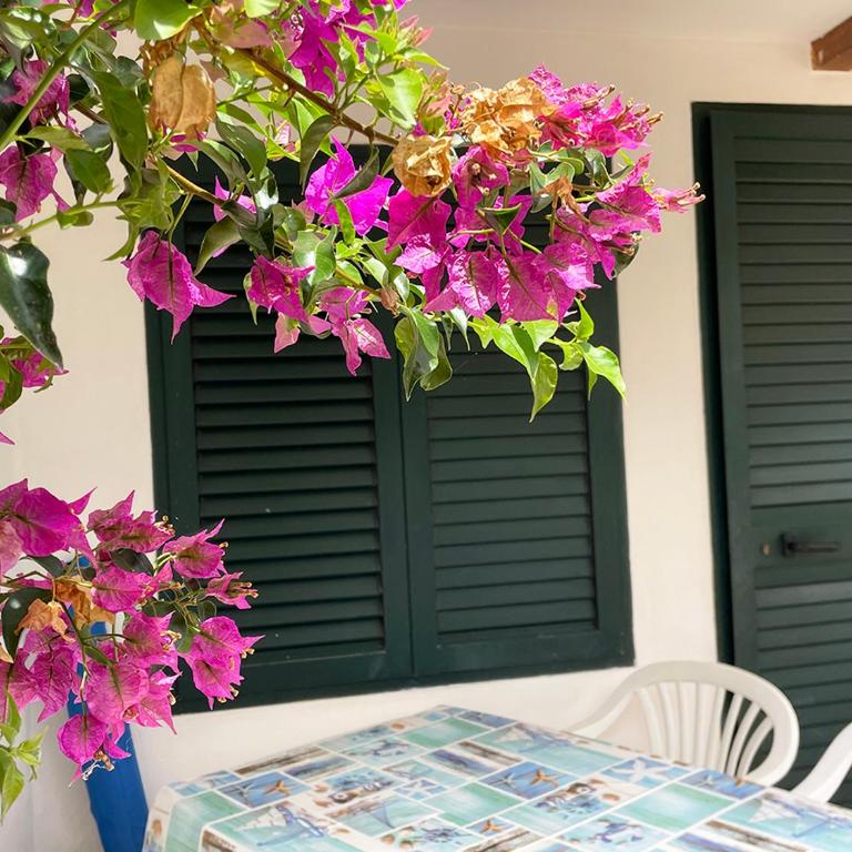Villa Maris - Casa con 4 camere da letto - 60