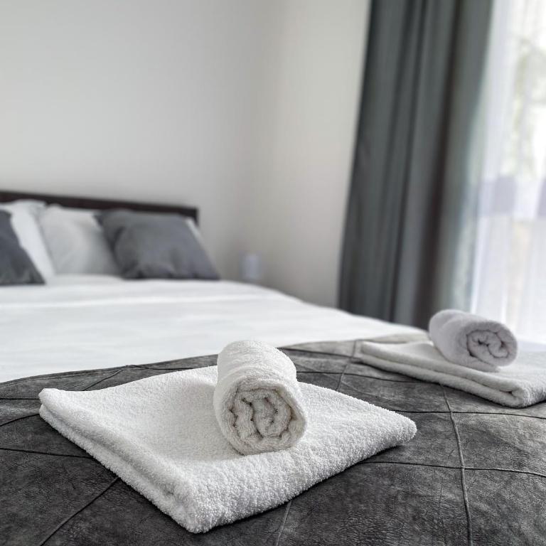 Apartman Amaris - Apartman sa 1 Spavaćom Sobom - 8