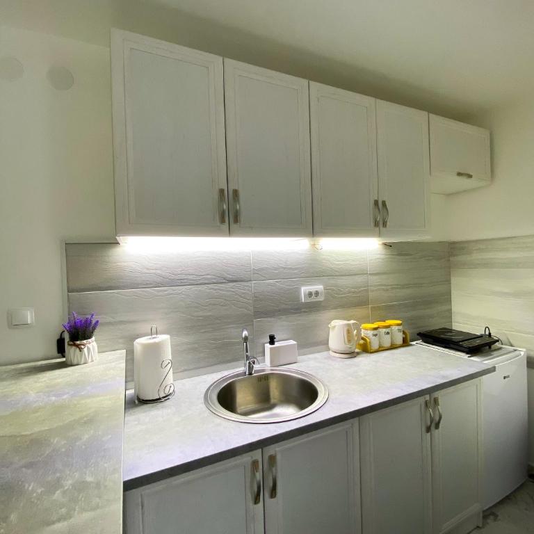 Apartman Amaris - Apartman sa 1 Spavaćom Sobom - 11