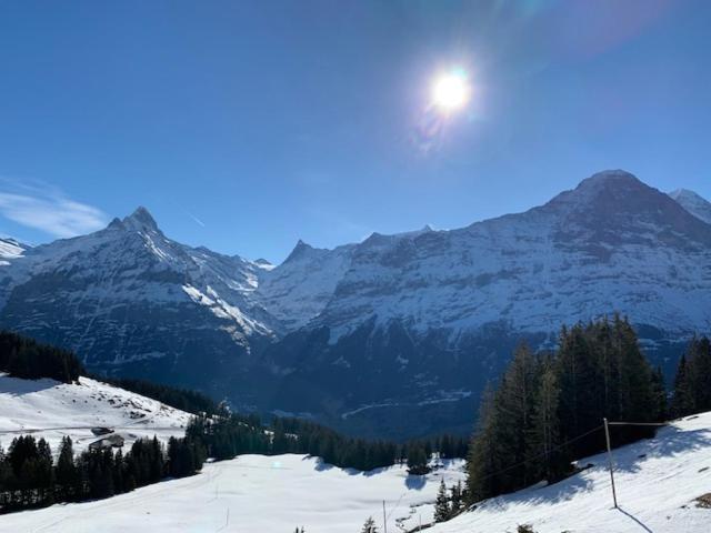 Grindelwald-Sunneblick - Appartamento con 2 Camere da Letto - 25