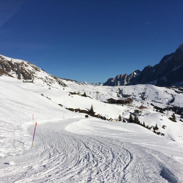 Grindelwald-Sunneblick - Appartamento con 2 Camere da Letto - 26