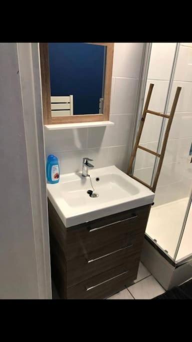 « Le petit Bastille»Proche Lyon centre - Appartamento con 1 Camera da Letto - 13