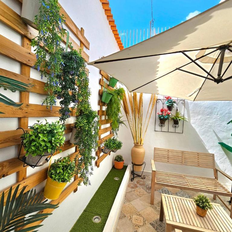 Apartamentos de la Huerta - Apartment - 1