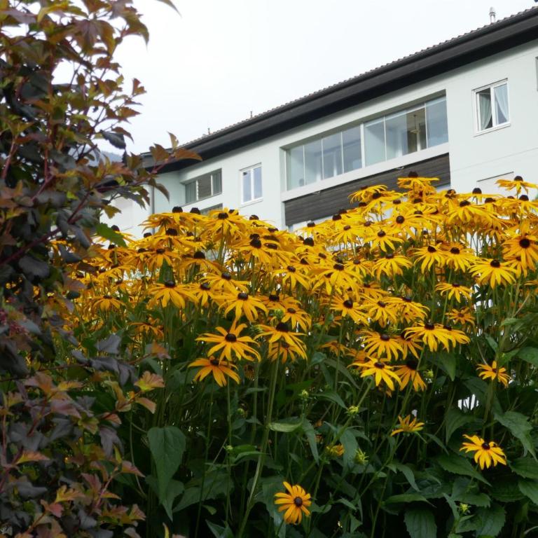 Apartment Sonnenlicht - Apartment mit 2 Schlafzimmern - 16