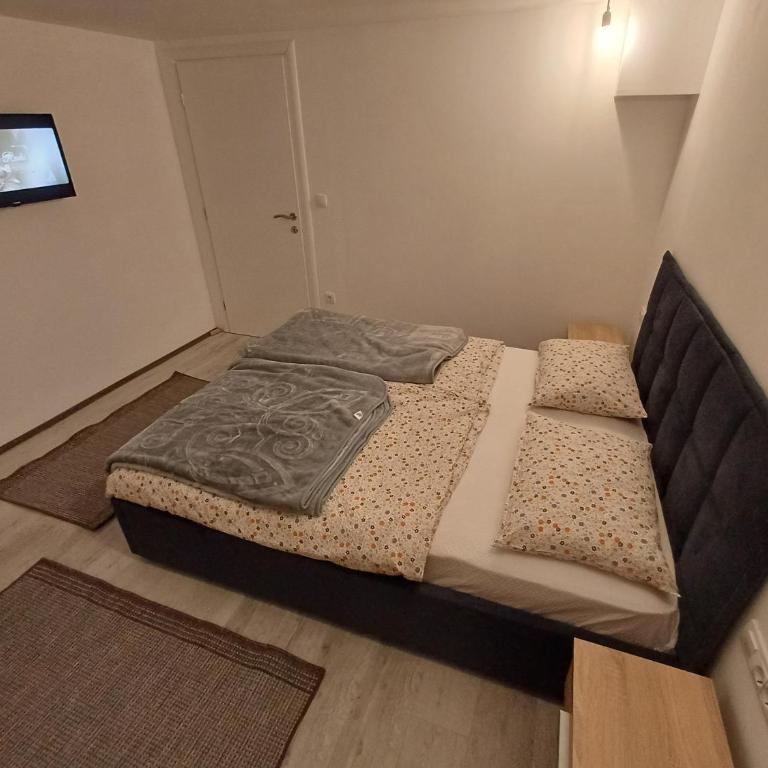 MD 2 - One-Bedroom Apartment - 13