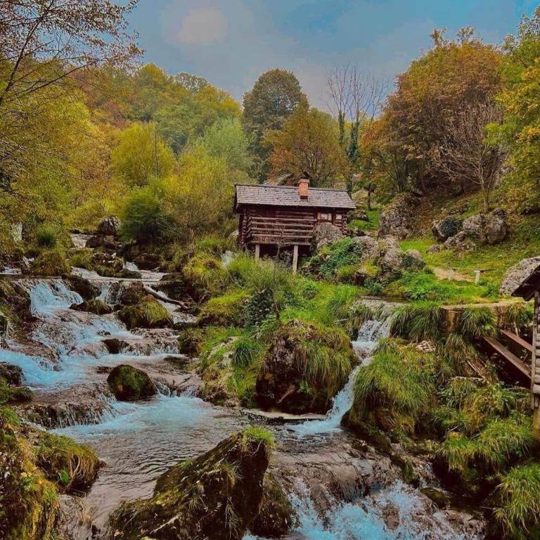 Konak kod Tose - Apartman sa 1 Spavaćom Sobom - 10