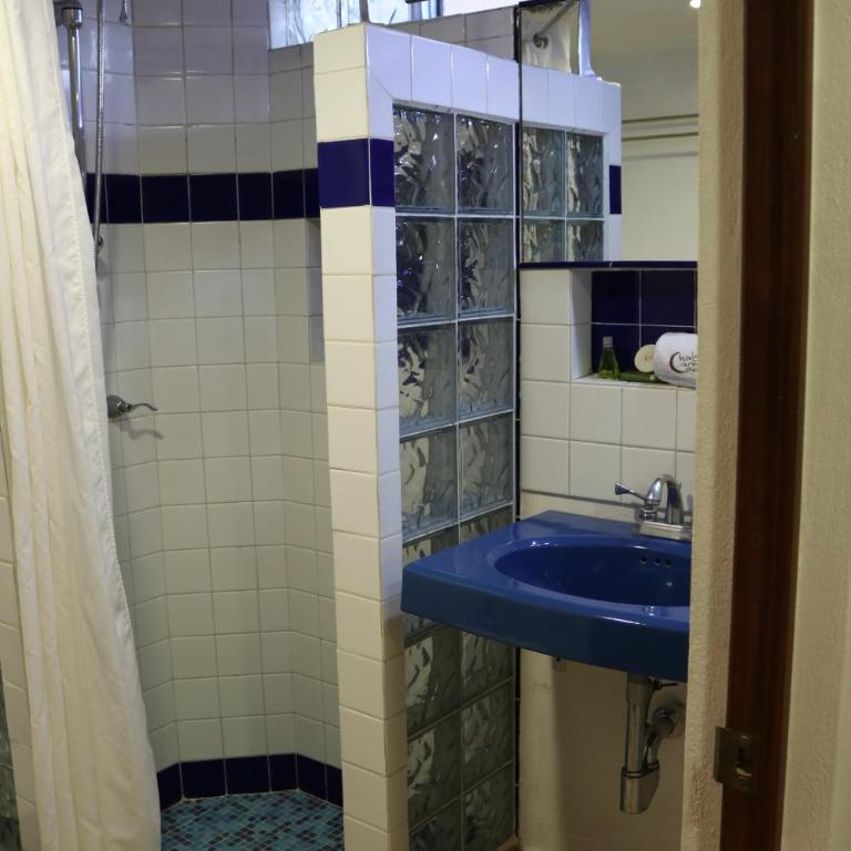 Chalet del Carmen, Coyoacán - Superior Apartment - 6