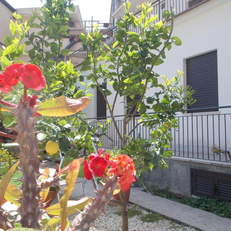 Villa Il Melograno - Casa con 1 Camera da Letto - 30