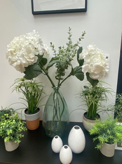 Maison-Atelier 3bd et 3ba avec patio fleuri au pied de Montmartre - Appartement 3 Chambres - 43