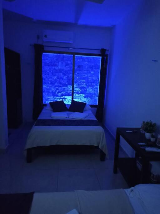 Chan Kiin Departamentos - One-Bedroom Apartment - 35
