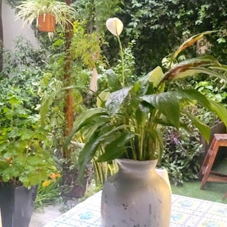 Belgrano - Apartamento de 1 dormitorio - 38