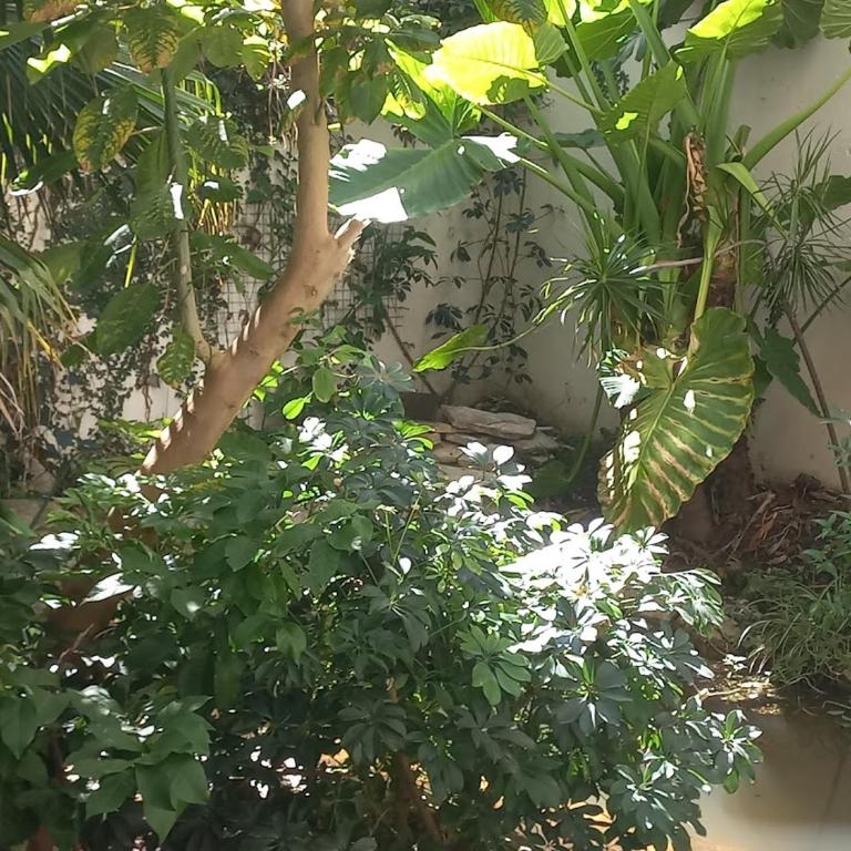 Belgrano - Apartamento de 1 dormitorio - 37