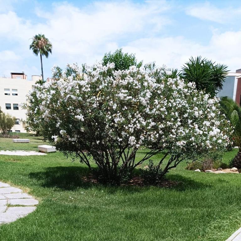 2 dormitorios y muy fácil aparcamiento - Apartamento de 2 dormitorios - 20
