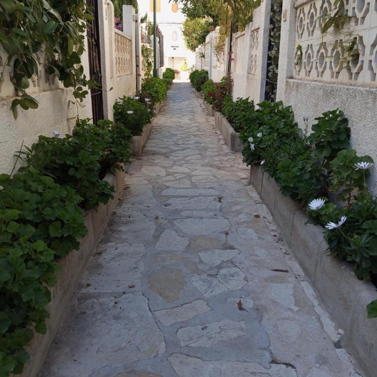 Casa Alkabir Campello - Apartamento de 3 dormitorios - 22