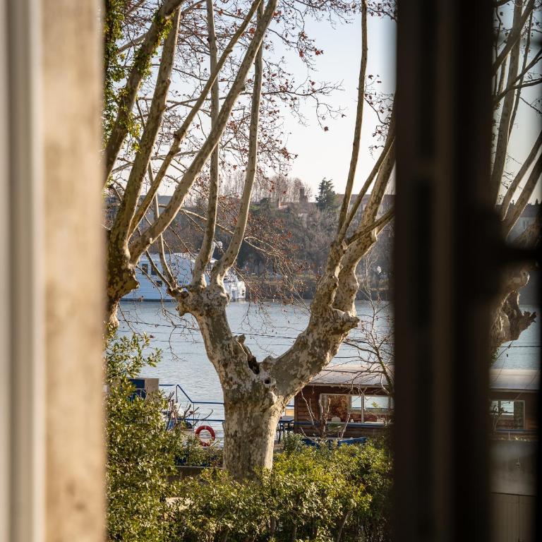 Auberge de la Treille - Chambres d'Hôtes - Chambre Double - Vue sur Jardin - 6
