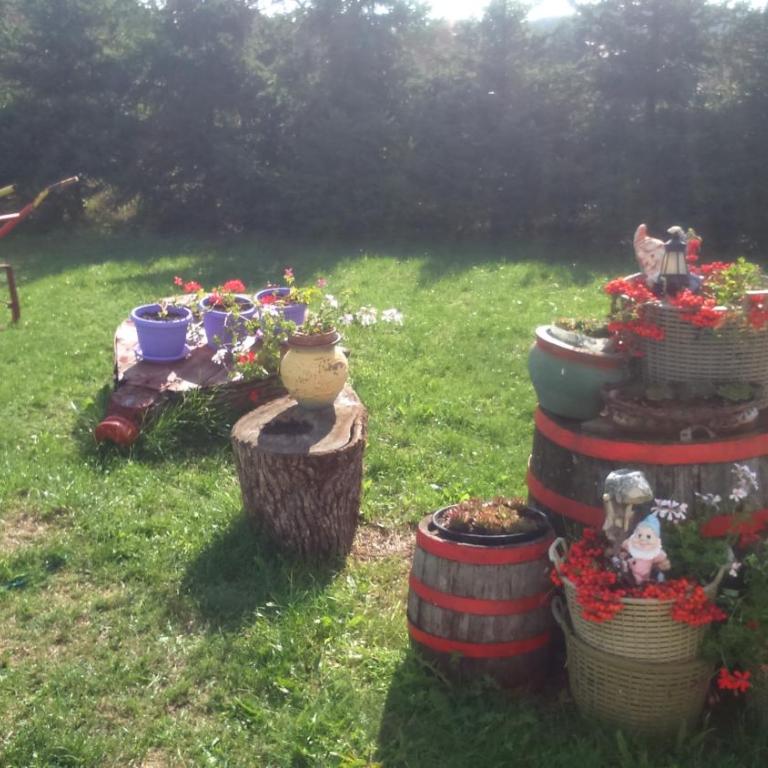 Apartments Zlatiborski visovi - Deluks Studio sa Bračnim Krevetom (King-size) - 20