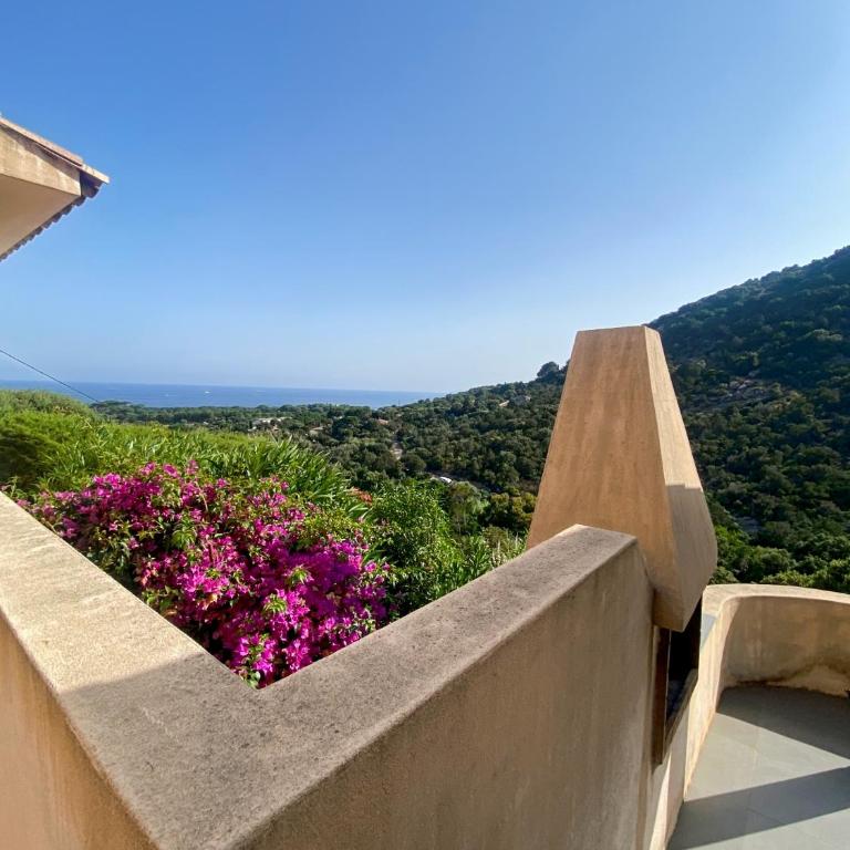 Les Terrasses de Scalegiu - Appartamento con 1 Camera da Letto - 4