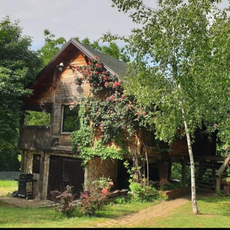 Log cabin - Kuća sa 1 Spavaćom Sobom - 1