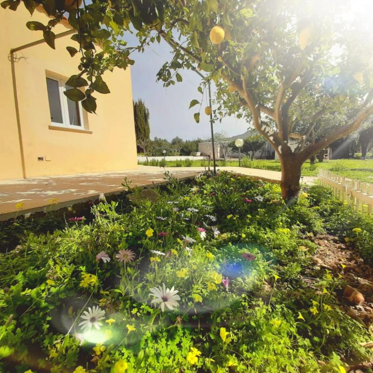 Chiara's Country (IUN R7916) - Two-Bedroom Apartment - 3