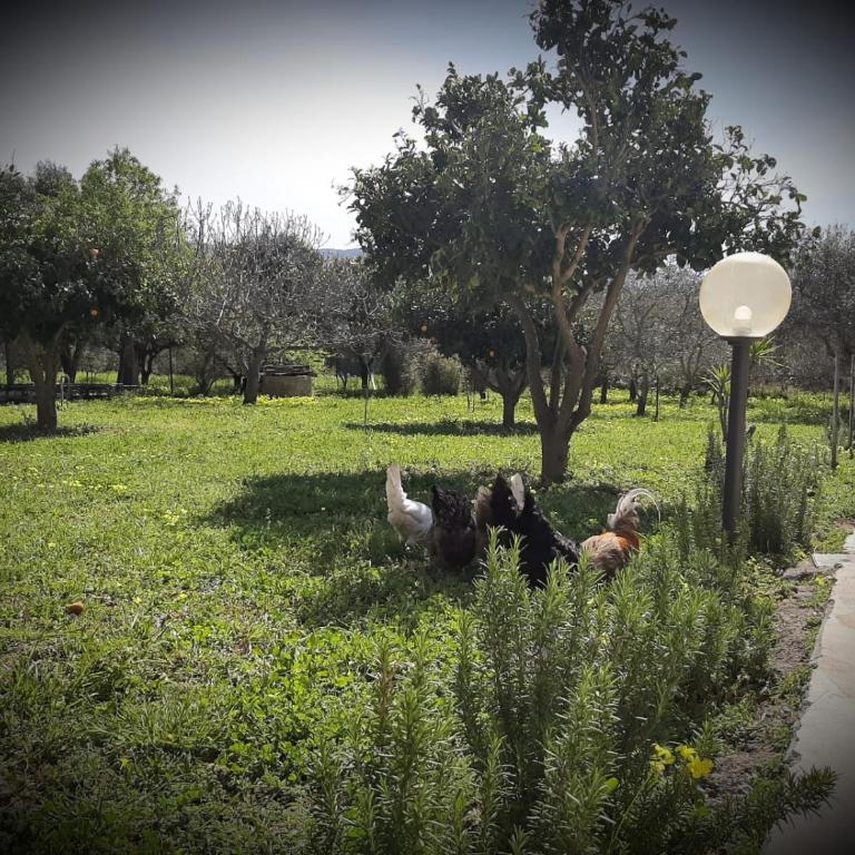 Chiara's Country (IUN R7916) - Two-Bedroom Apartment - 7