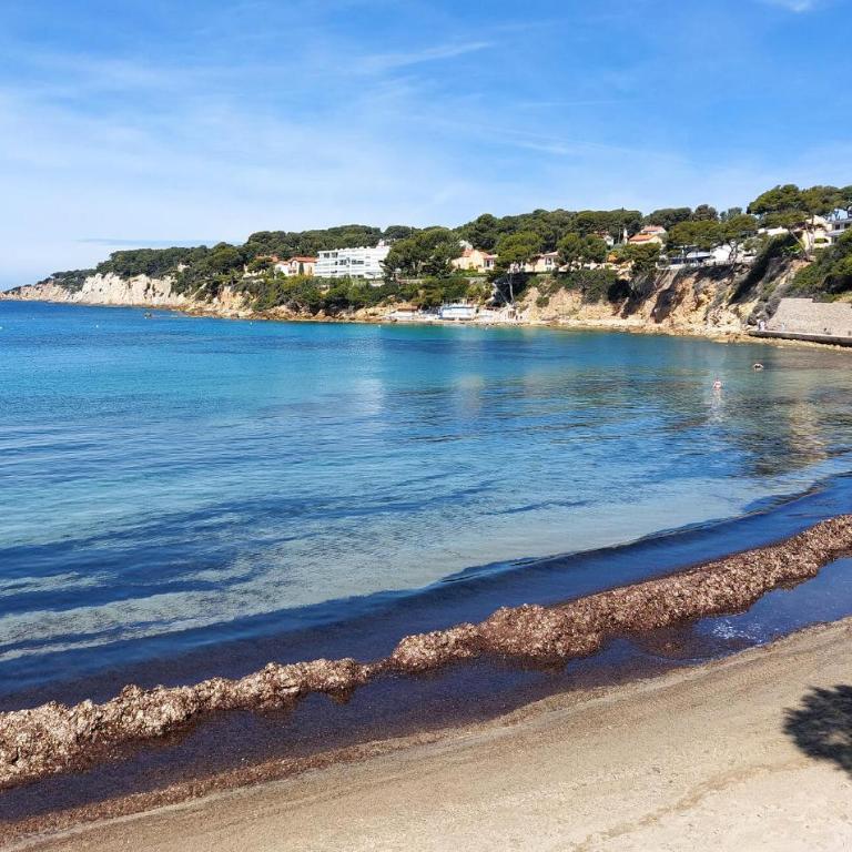 Stunning Apartment In Sanary-Sur-Mer With Wifi - Apartamento de 1 dormitorio - 17