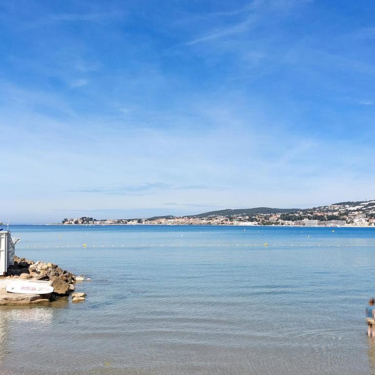 Stunning Apartment In Sanary-Sur-Mer With Wifi - Apartamento de 1 dormitorio - 18