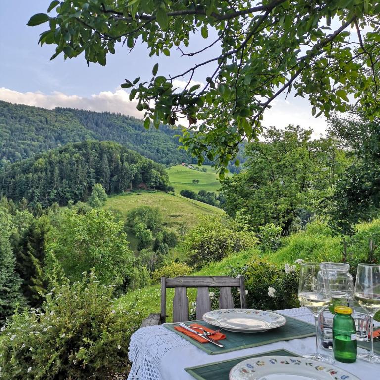 Exklusives Naturjuwel - Kühbartl Simmerl - Casa Vacanze - 75