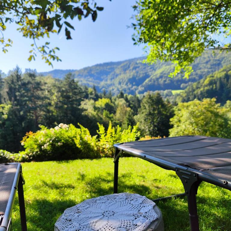 Exklusives Naturjuwel - Kühbartl Simmerl - Casa Vacanze - 76