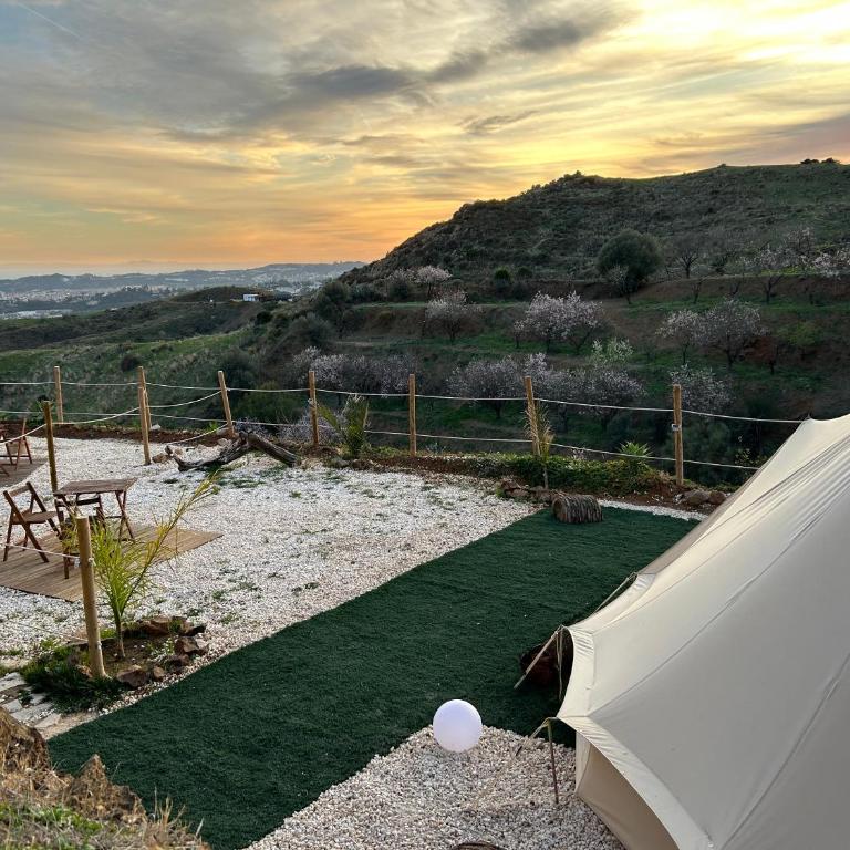 Glamping Finca el Olivo - Tienda - 8